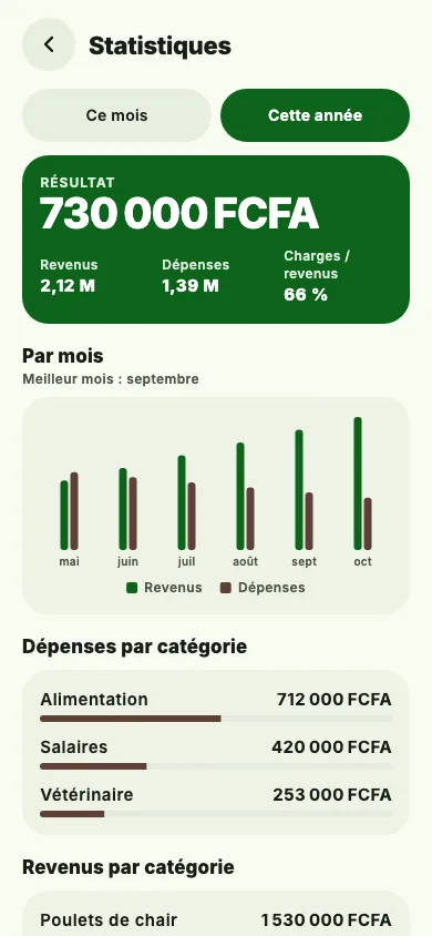 Wanar statistics: result for the year, income and expenses by month, expenses by category