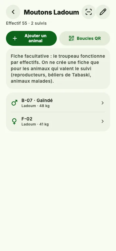 Fiche d’un troupeau de moutons dans Wanar : effectif et animaux suivis individuellement